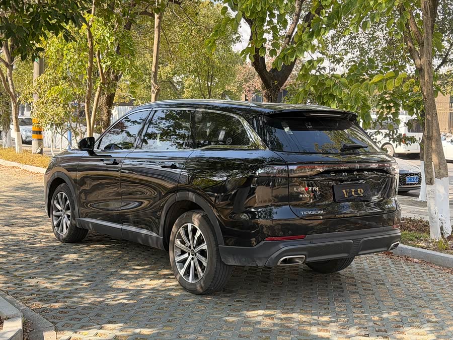 Chery Tiggo8L 2024 immagine di auto #18