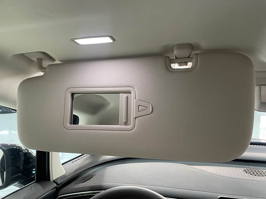 Denza D9 2025 imagen de coche #18