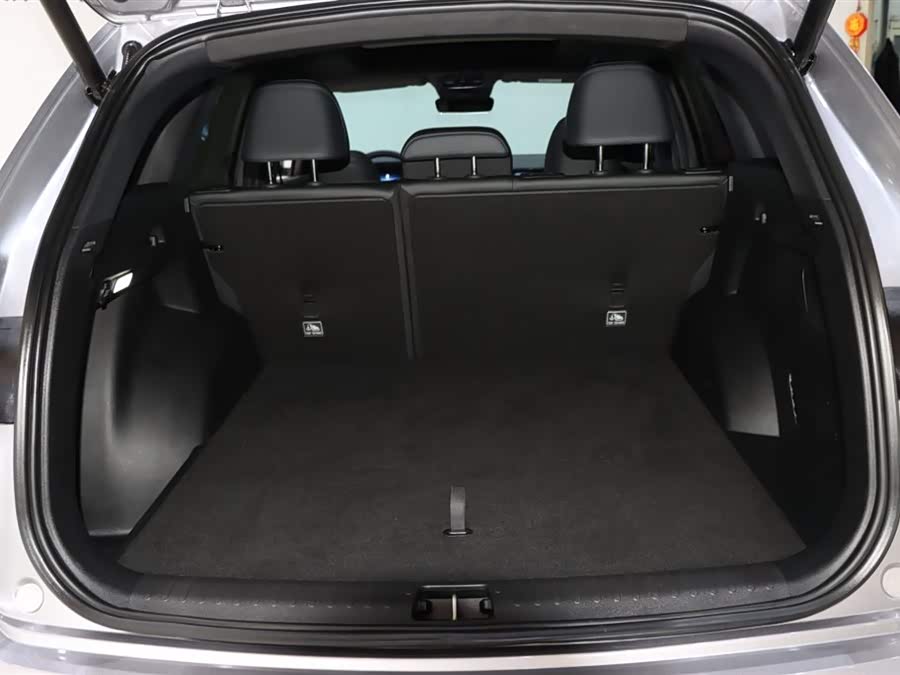 GEELY Monjaro 2024 car image #18