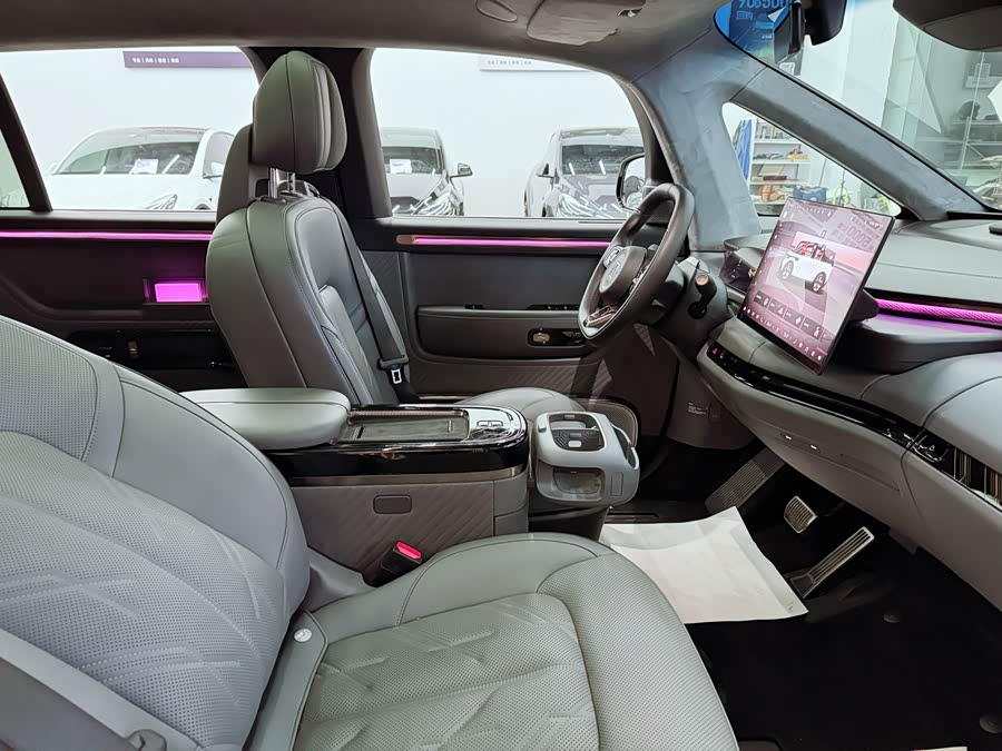 Zeekr MIX 2024 image de voiture #18