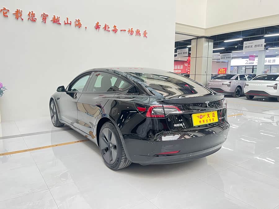 Tesla Model 3 2021 car image #18