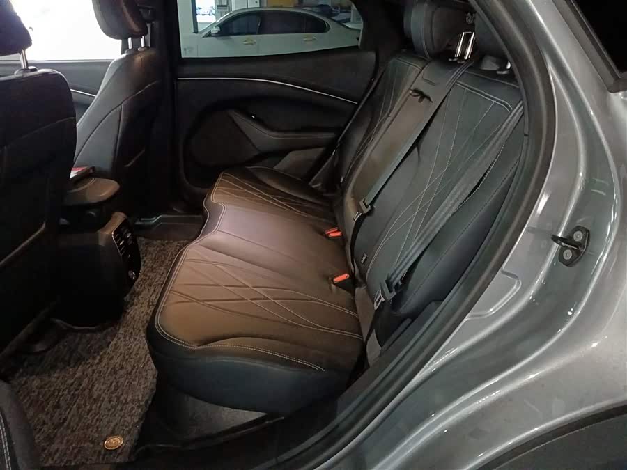 Ford Mustang Mach-E 2022 car image #18