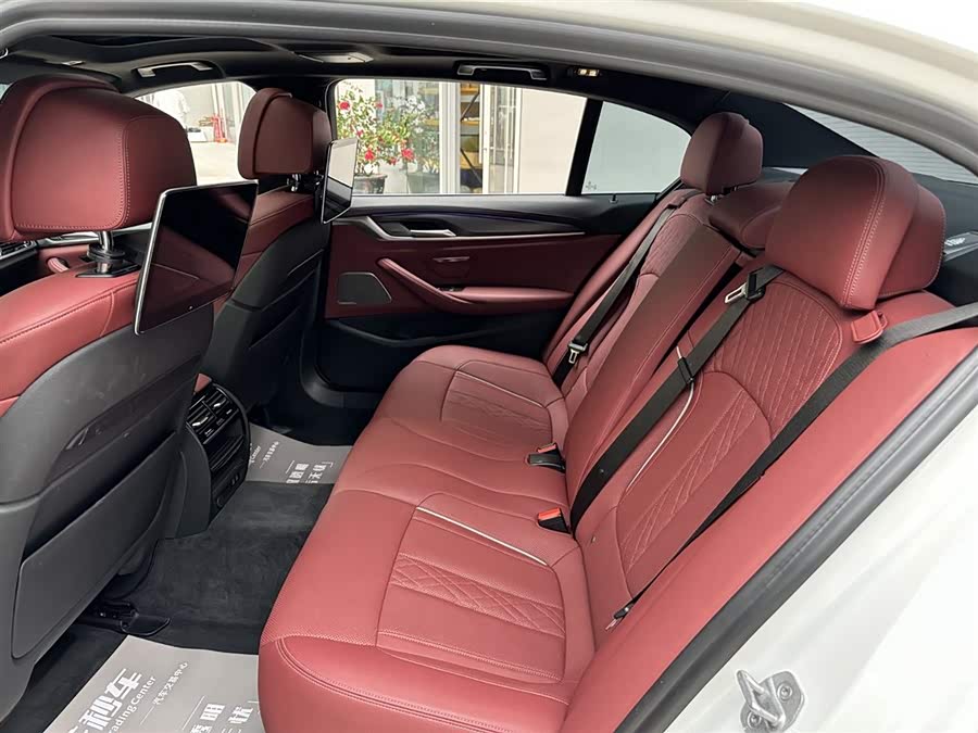 BMW 5 Series New Energy 2021 car image #18