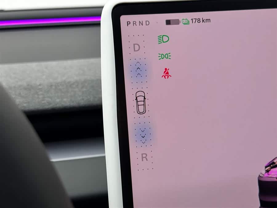 Tesla Model 3 2020 car image #18