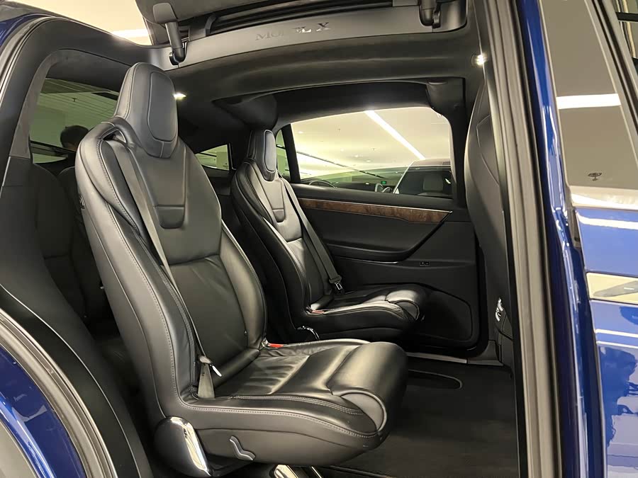 Tesla Model X 2017 car image #18