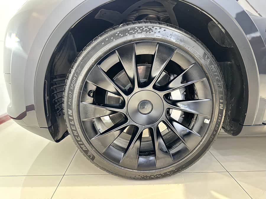 Tesla Model Y 2024 car image #18