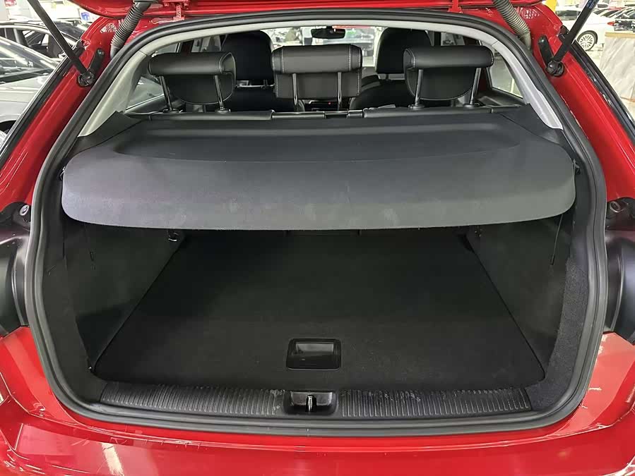 奥迪 奥迪Q2L e-tron 2020 汽车图片 #18