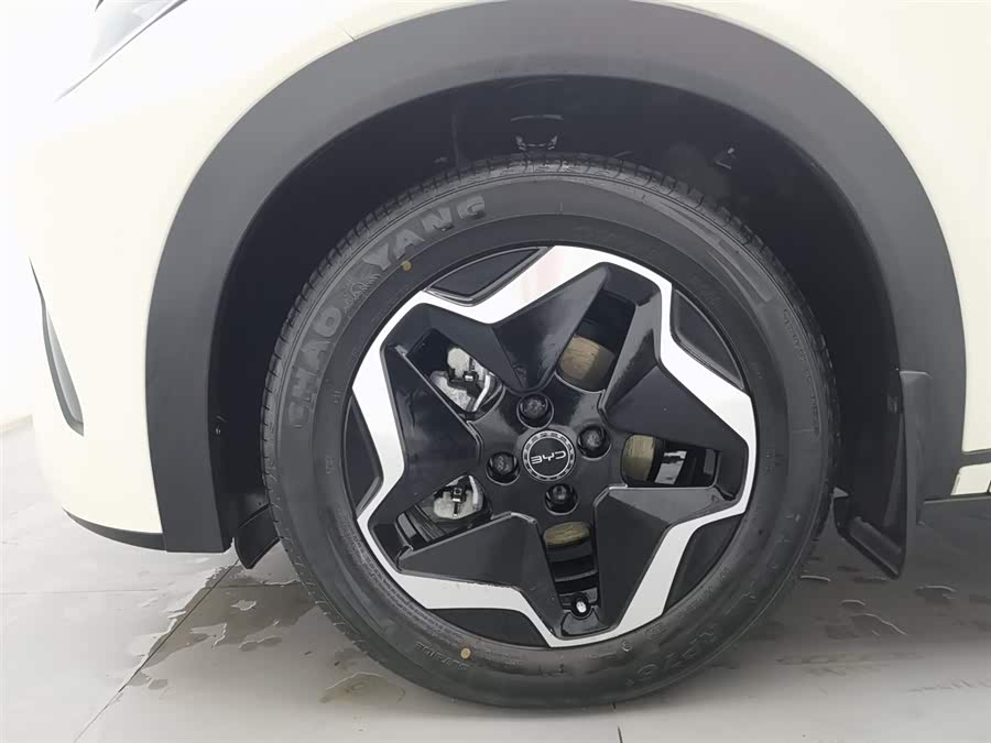 BYD Dolphin 2025 car image #18