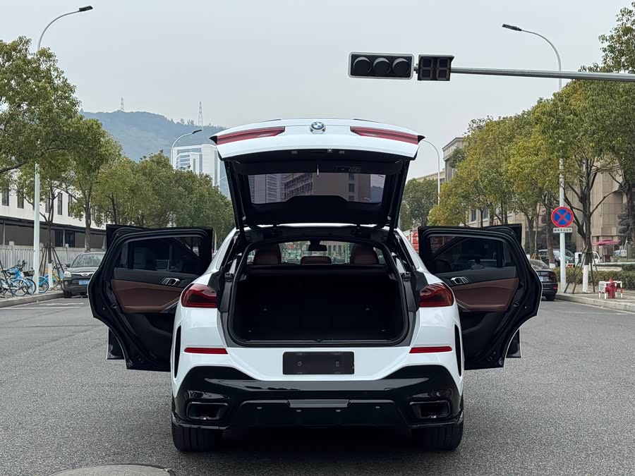 BMW X6 2020 car image #18