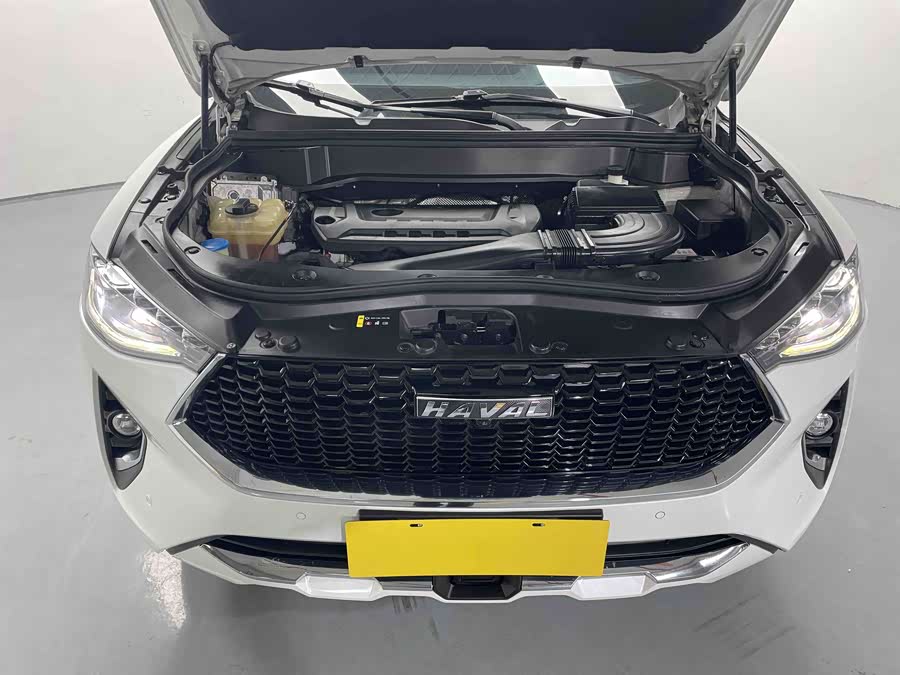 Haval F7 2019 car image #18