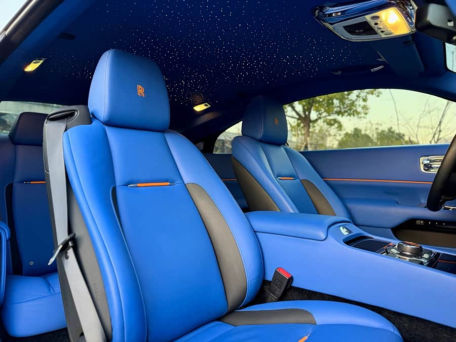 Denza Wraith 2017 car image #18