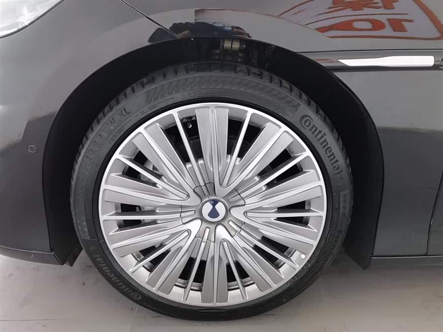 Denza Z9 2024 imagem de carro #18