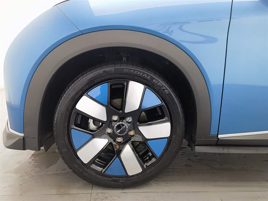 BYD Dolphin 2022 car image #18