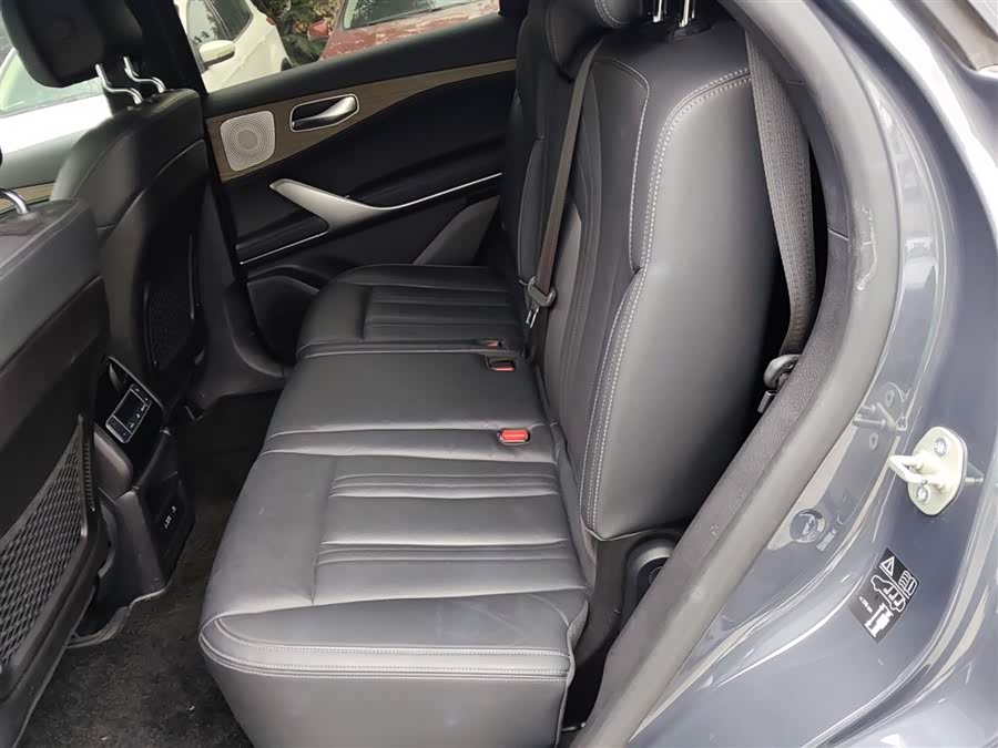 Denza X 2022 car image #18