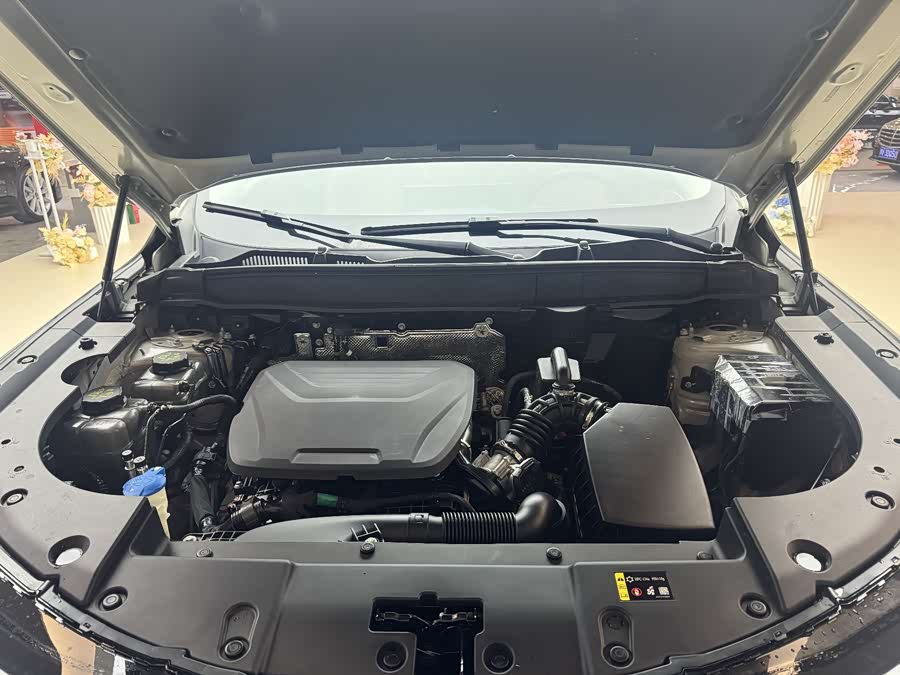 Haval Fierce Dragon MAX 2025 #18 Haval Fierce Dragon MAX 2025 car image #18