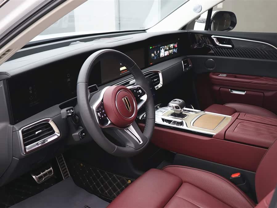 HongQi E-HS9 2023 изображение автомобиля #18