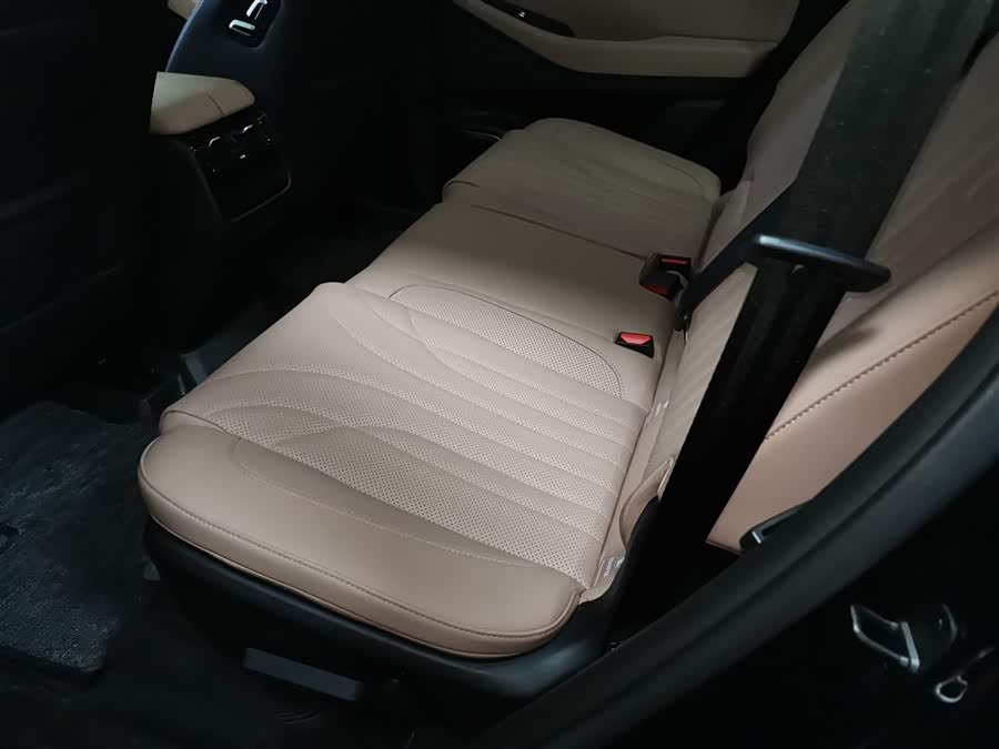 Chery Tiggo8L 2024 immagine di auto #18