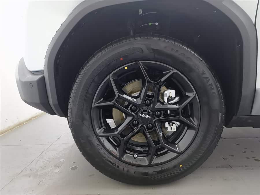 FangChengBao Tiger 3 2025 car image #18