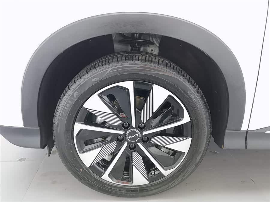 BYD Song Plus New Energy 2025 car image #18