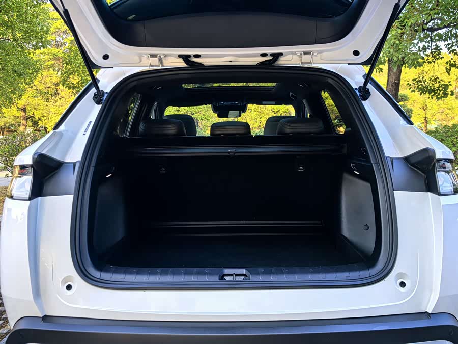 BYD SongL DM-i 2025 #18 BYD SongL DM-i 2025 car image #18