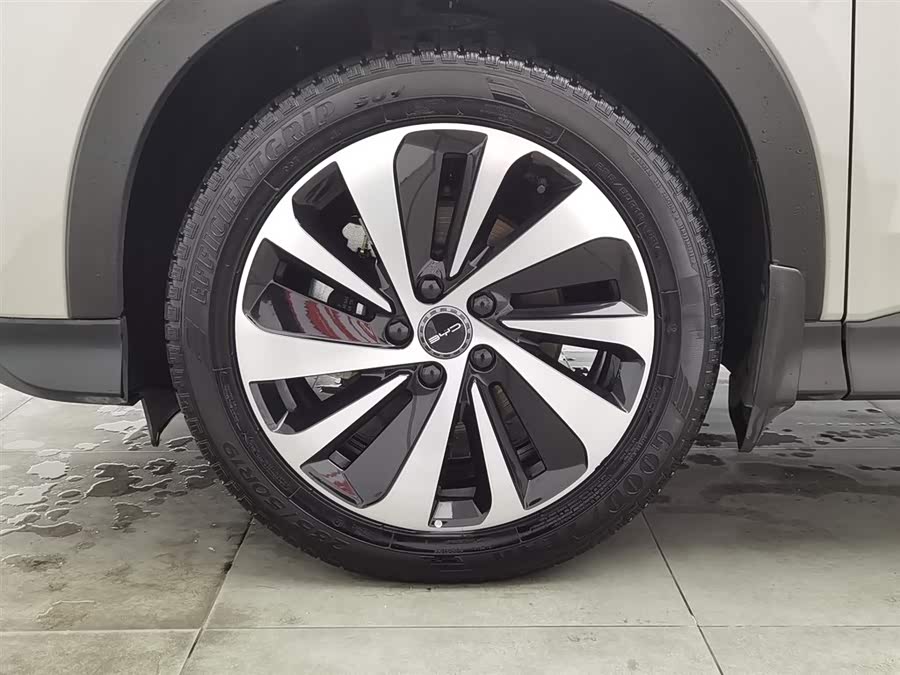 BYD Song Plus New Energy 2023 car image #18