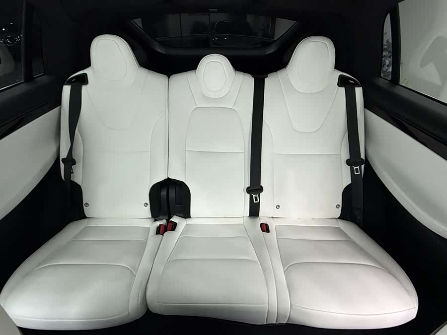 特斯拉 Model X 2019 汽车图片 #18