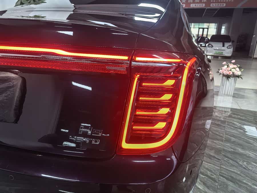 HongQi H9 2022 car image #18