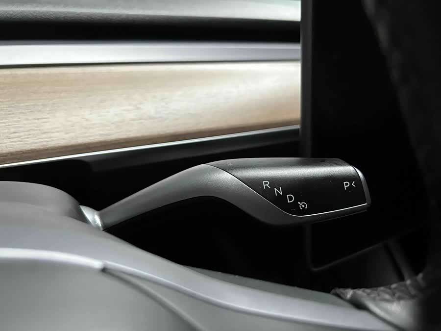 Tesla Model 3 2023 car image #18
