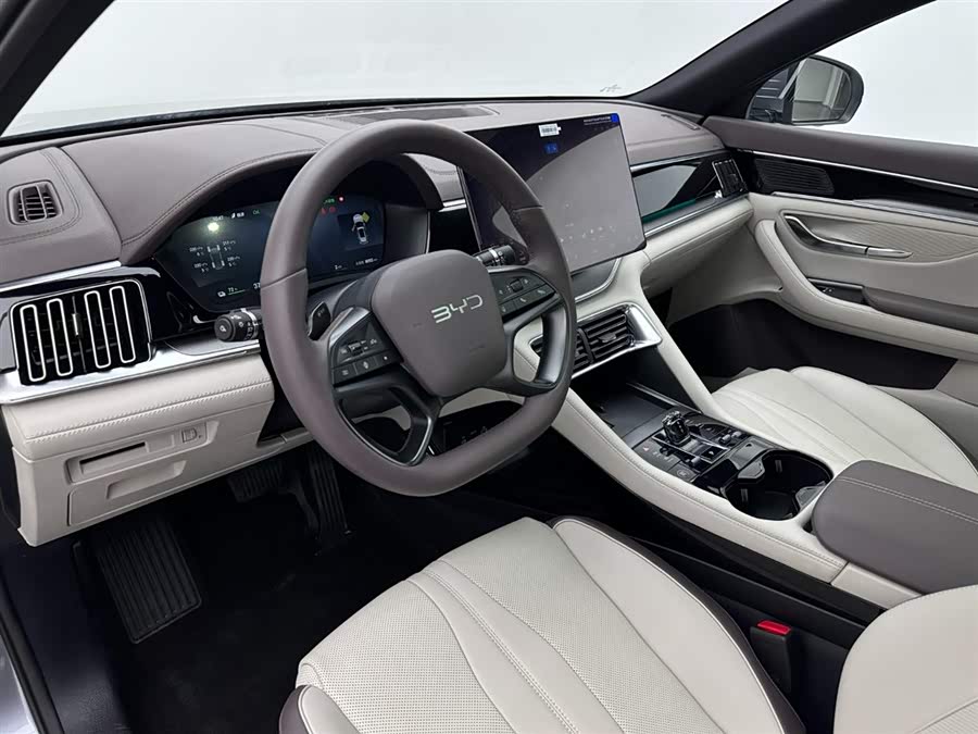 BYD Song Plus New Energy 2025 car image #18