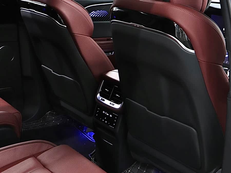 HongQi E-HS9 2023 immagine di auto #18