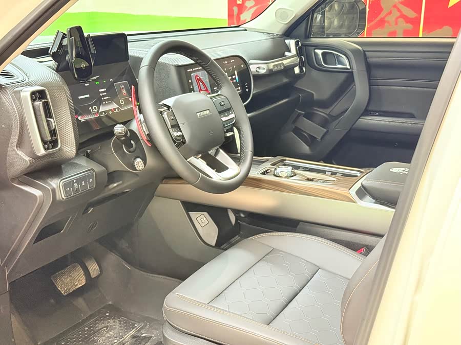 Haval X Dog / Dargo 2024 immagine di auto #18