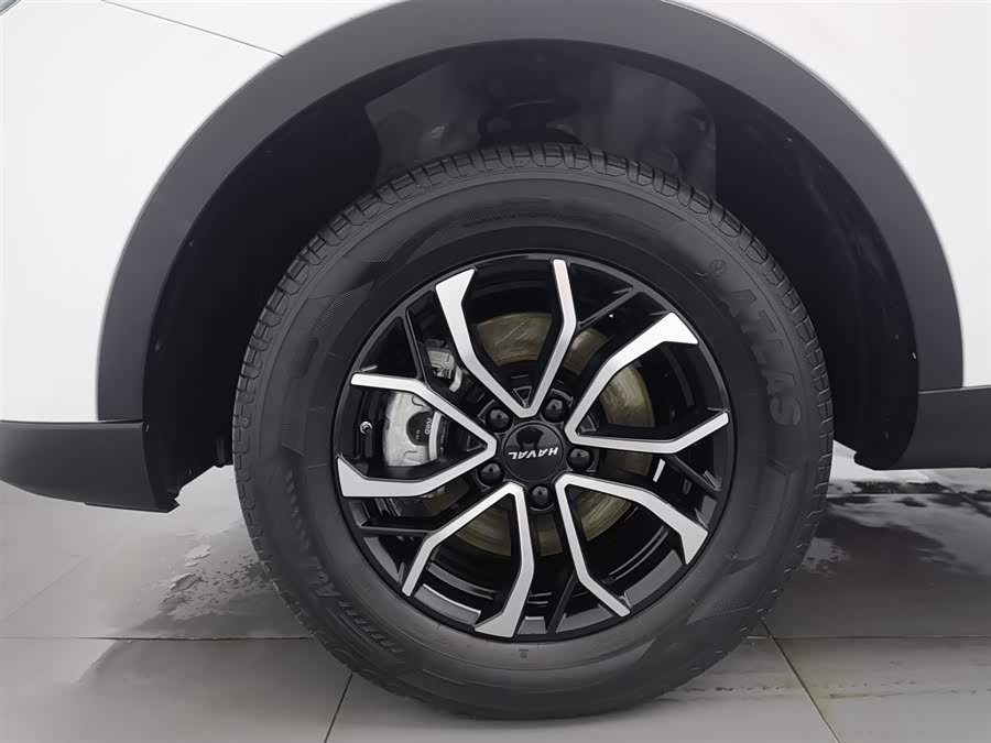Haval H6 2023 immagine di auto #18