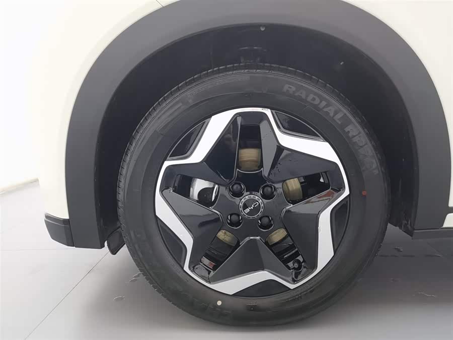 BYD Dolphin 2024 #18 BYD Dolphin 2024 car image #18