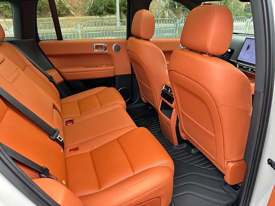 Li L6 2024 imagen de coche #18