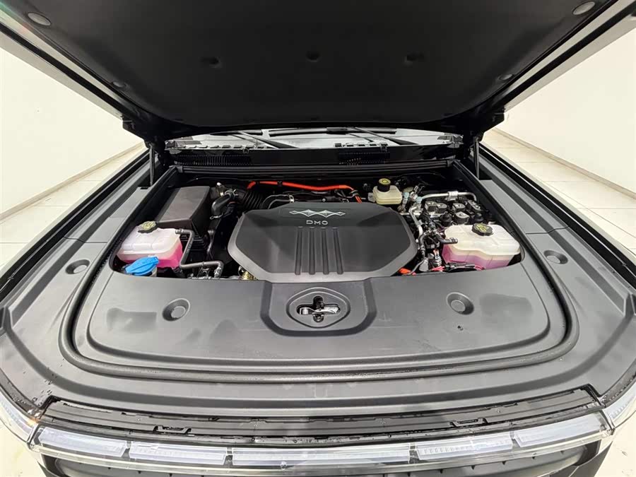 FangChengBao Leopard 5 2025 car image #18