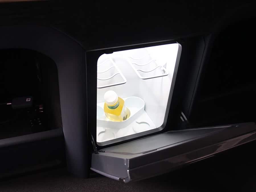 极氪 极氪009 2025 汽车图片 #18