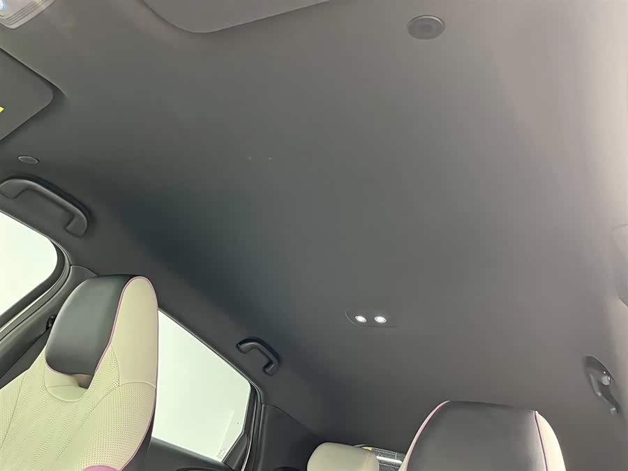 BYD Dolphin 2023 immagine di auto #18