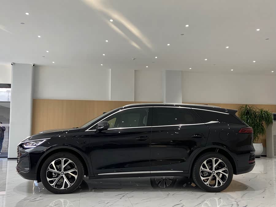 BYD Tang New Energy 2025 car image #18