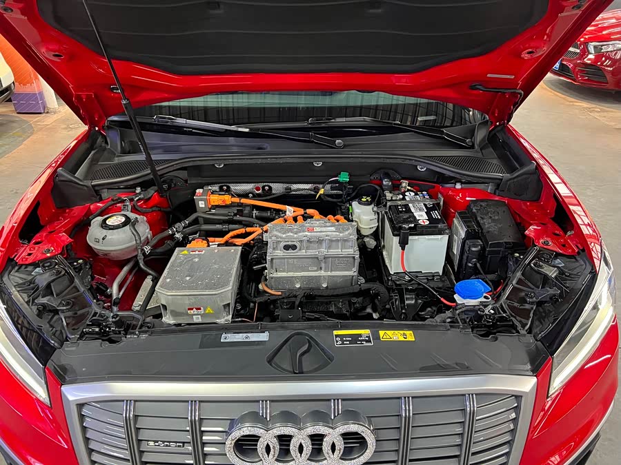 奥迪 奥迪Q2L e-tron 2020 汽车图片 #18