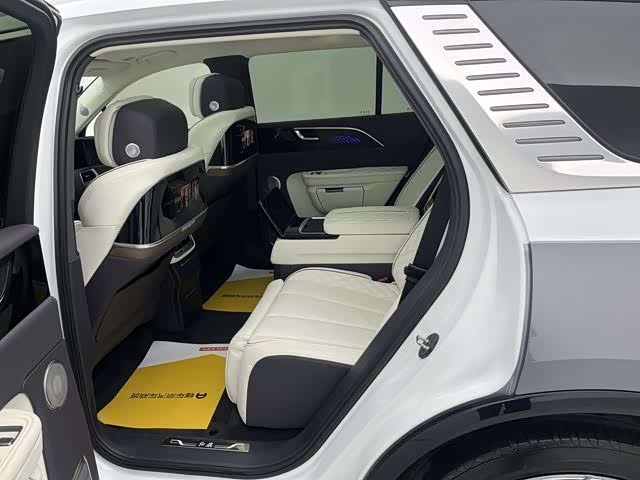 HongQi E-HS9 2023 car image #18