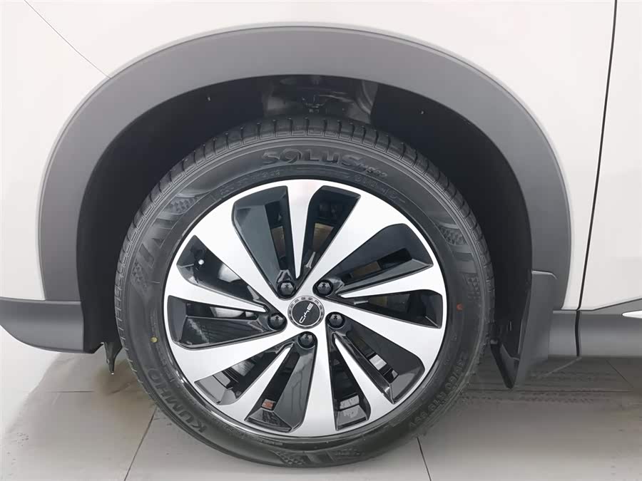 BYD Song Plus New Energy 2023 car image #18