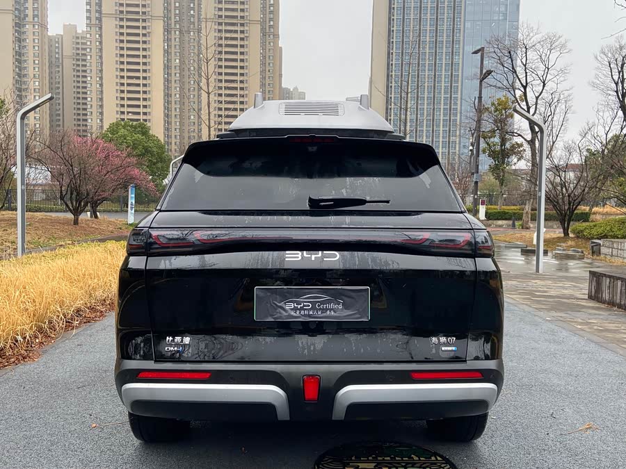 BYD Sea Lion 07 DM-i 2025 car image #18