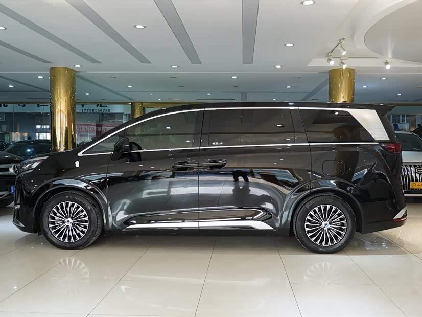 Denza D9 2025 imagen de coche #18