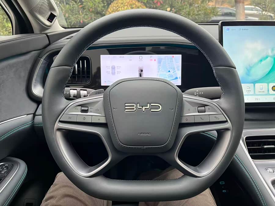 BYD Sea Lion 07 DM-i 2025 image de voiture #18