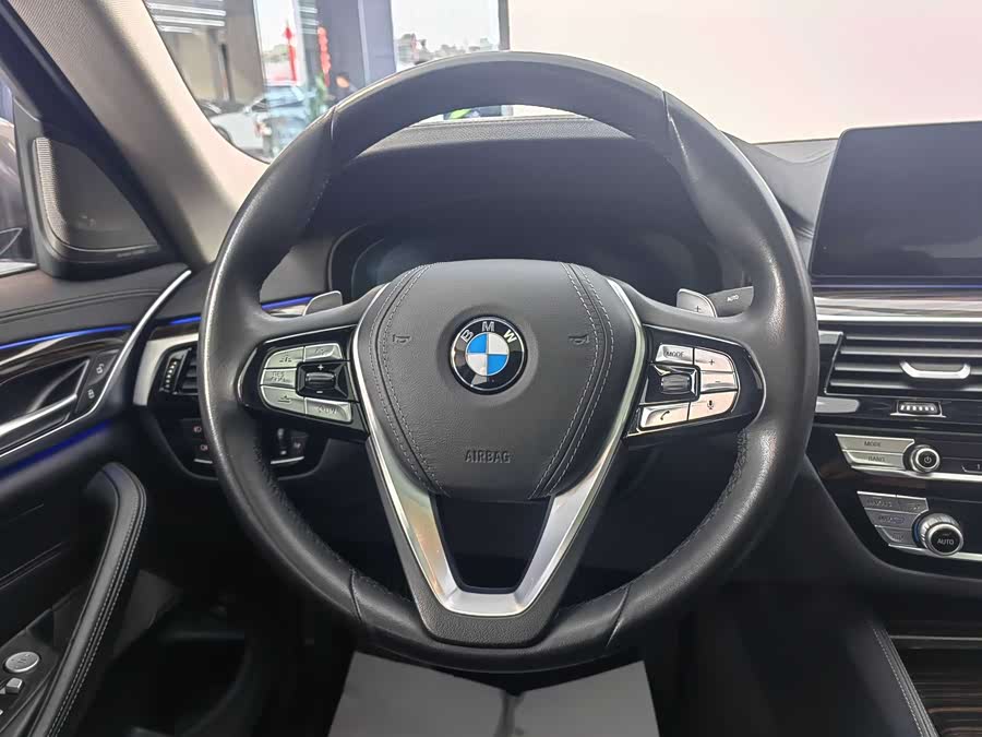 BMW 5 Series 2019 car image #18