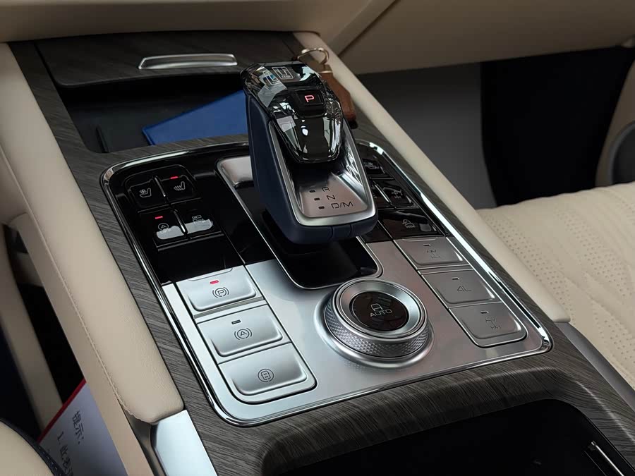 坦克 坦克500 2022 汽车图片 #18