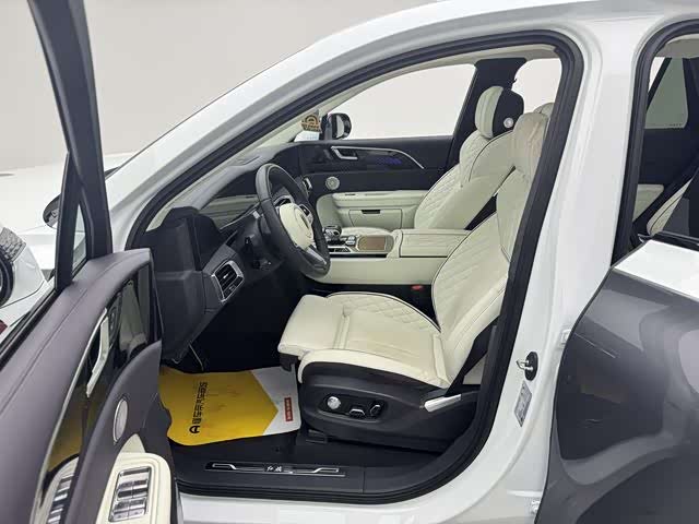 HongQi E-HS9 2023 image de voiture #18