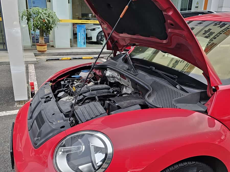 Volkswagen Beetle 2013 immagine di auto #18