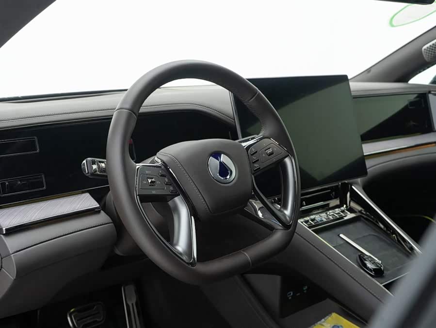 Denza Z9 2024 car image #18