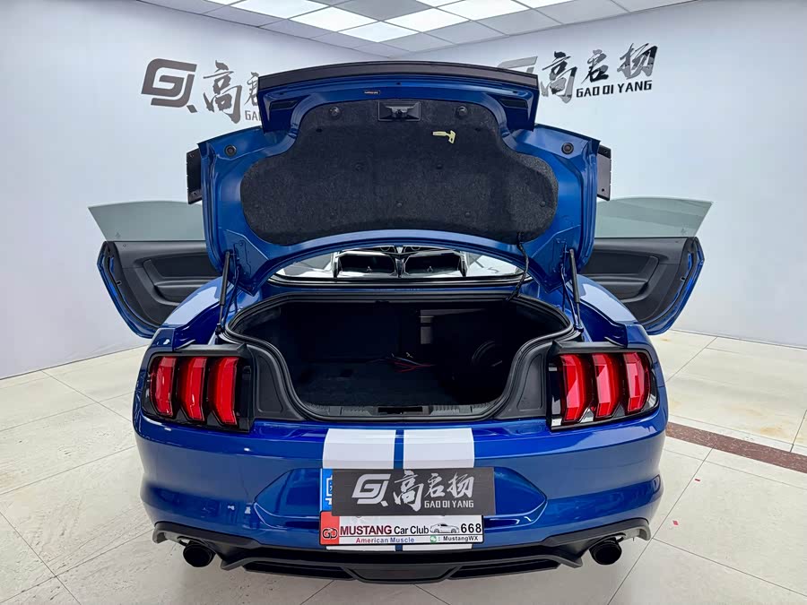 Ford Mustang 2019 car image #18